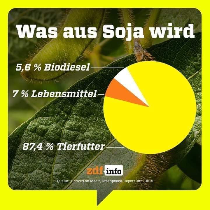 ZDF-Info