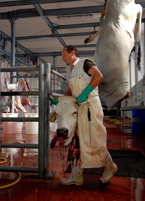 Veganer werden als Extremisten angesehen.